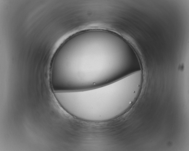 X0000111221288200907020951