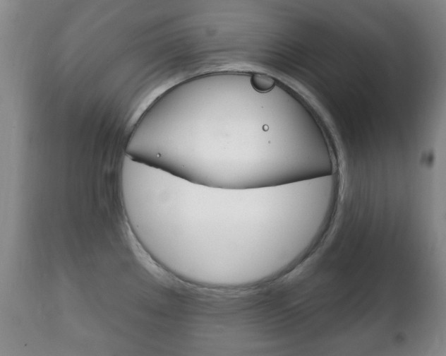X0000111221289200907020951