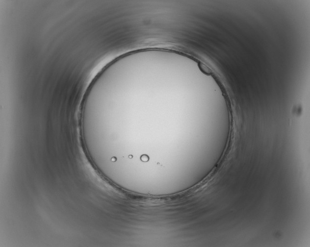 X0000111221291200907020951
