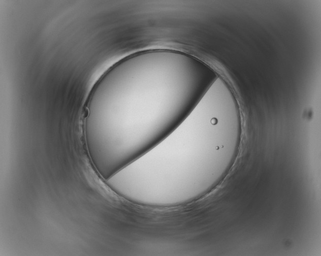 X0000111221292200907020951
