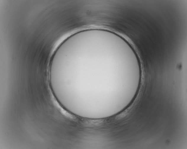 X0000111221294200907020951