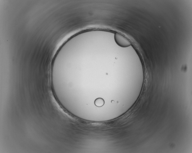 X0000111221295200907020951