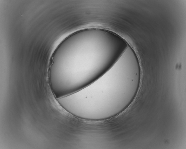X0000111221296200907020951