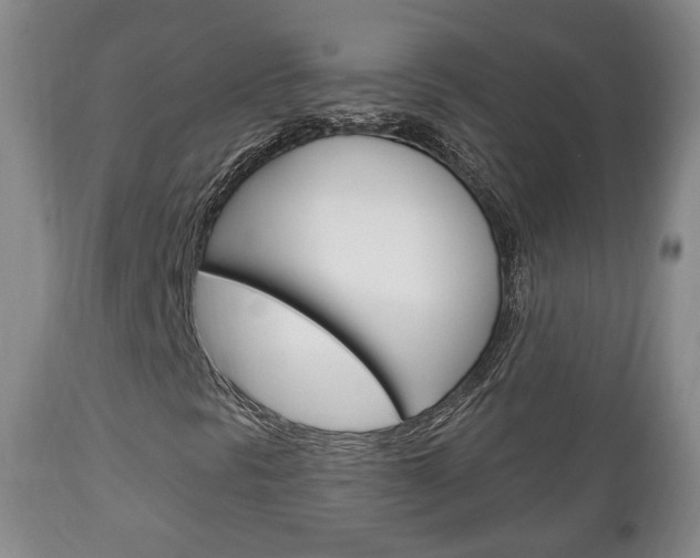 X0000111221297200907020950