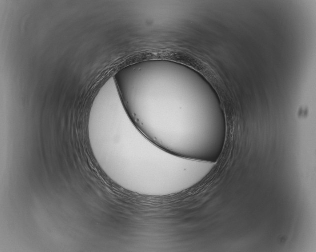 X0000111221298200907020950