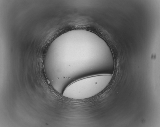 X0000111221300200907020950