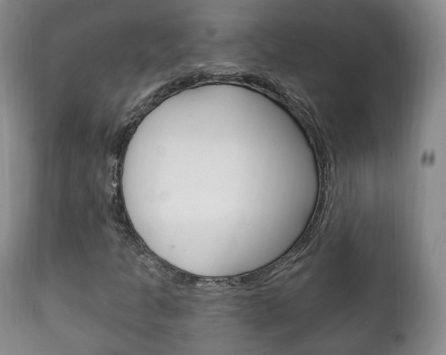 X0000111221301200907020950