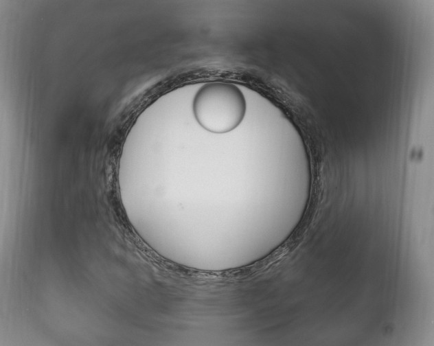 X0000111221302200907020950