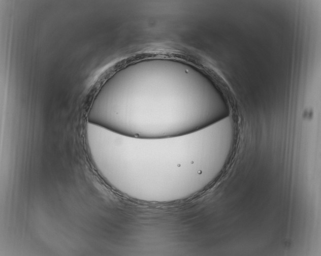 X0000111221304200907020950