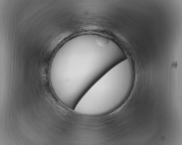 X0000111221305200907020950