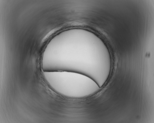 X0000111221306200907020950