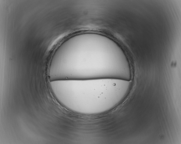 X0000111221307200907020950