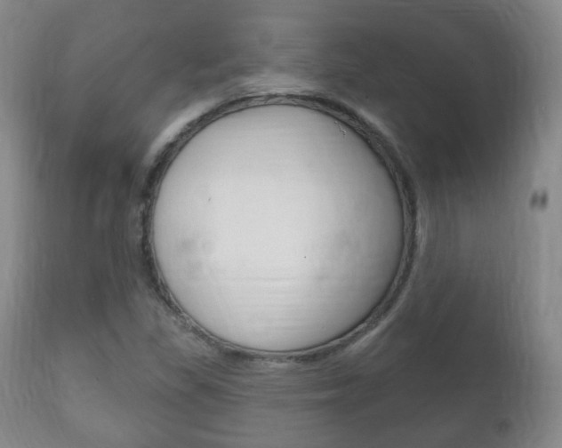X0000111221309200907020950
