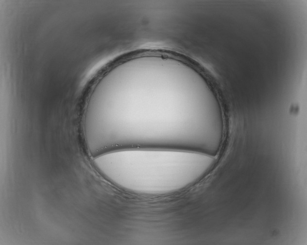 X0000111221311200907020950
