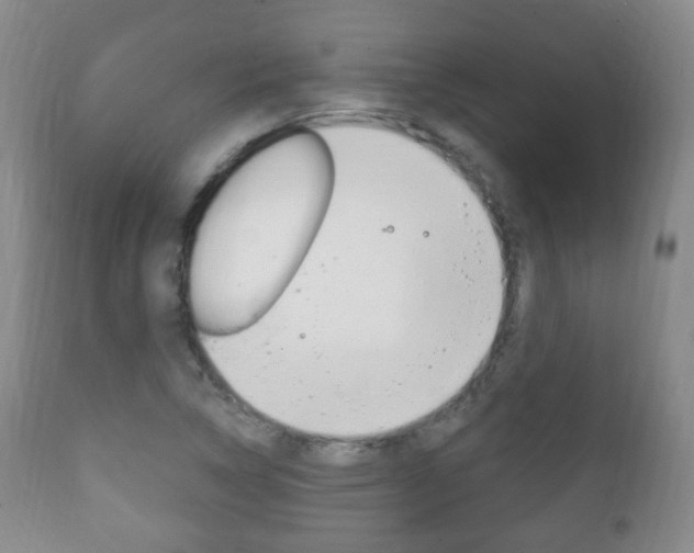X0000111221314200907020950