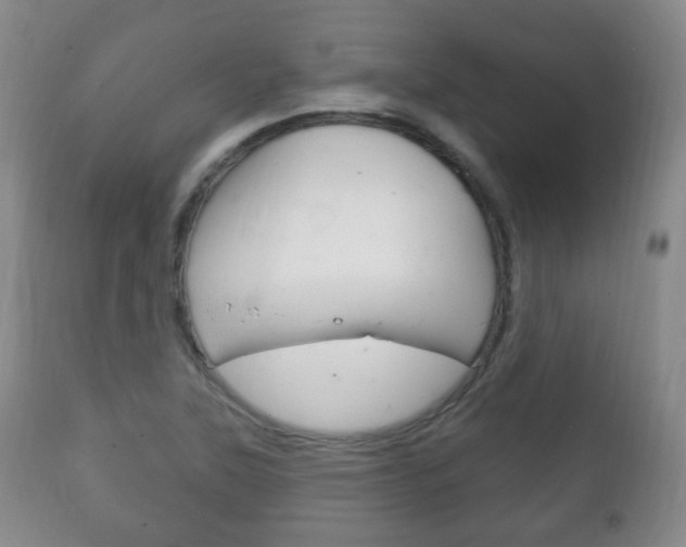 X0000111221315200907020950