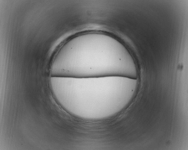 X0000111221318200907020950