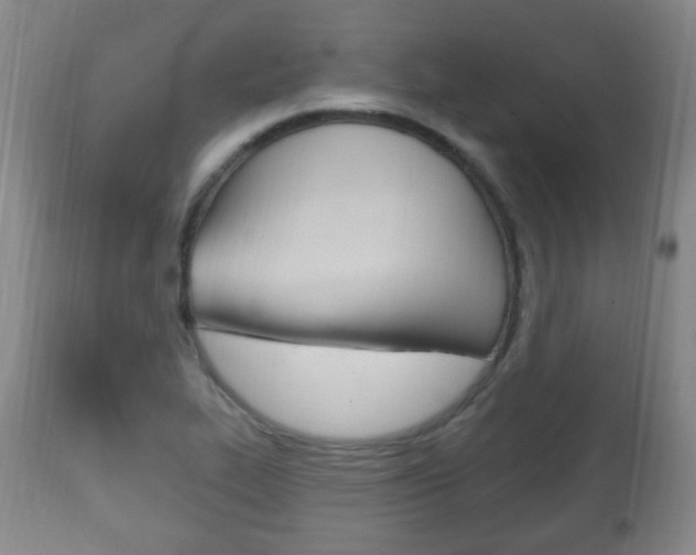 X0000111221319200907020950