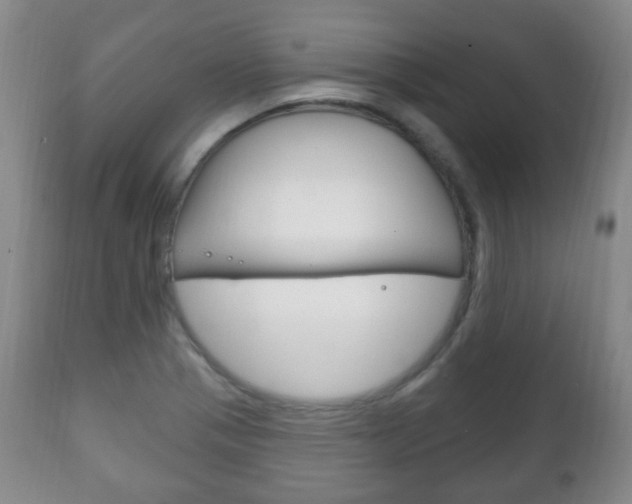X0000111221321200907020950