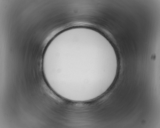 X0000111221322200907020950