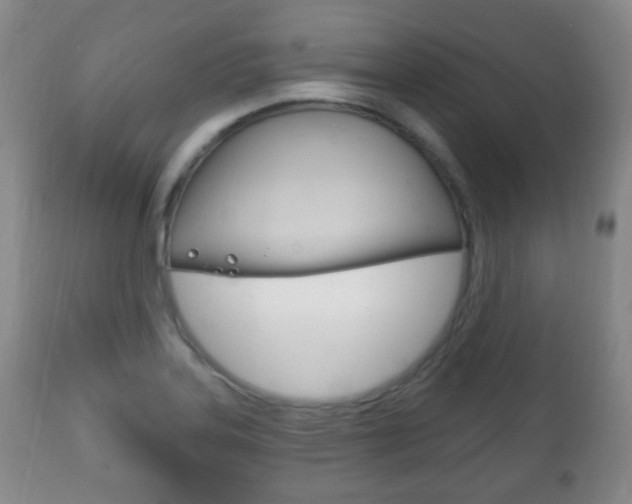 X0000111221323200907020950