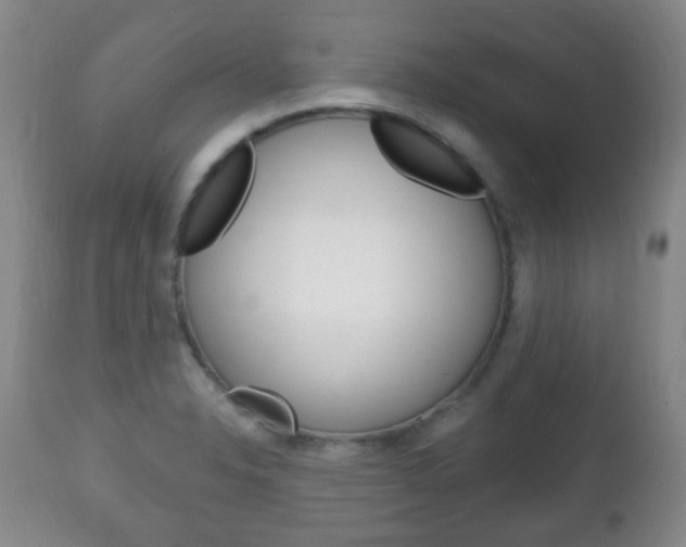 X0000111221326200907020951