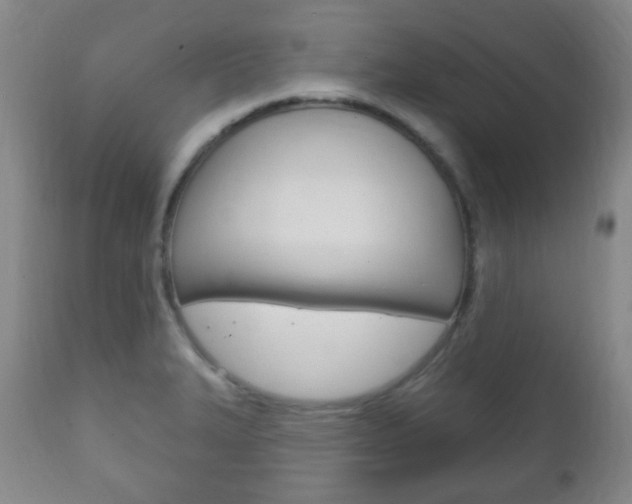 X0000111221327200907020951