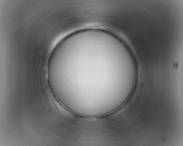 X0000111221328200907020951