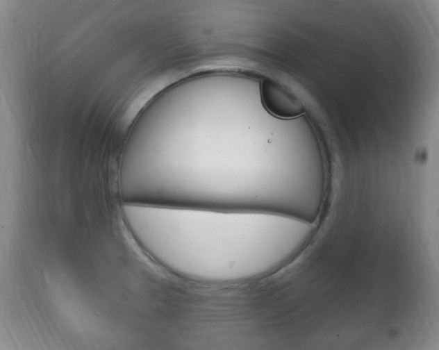 X0000111221329200907020951
