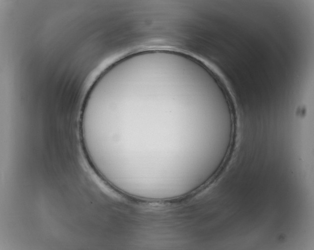 X0000111221333200907020951