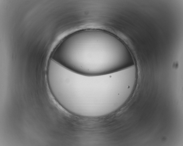 X0000111221334200907020951