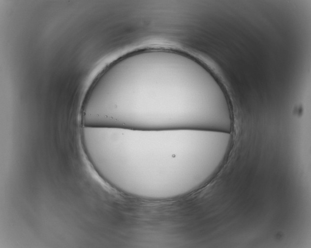 X0000111221335200907020951
