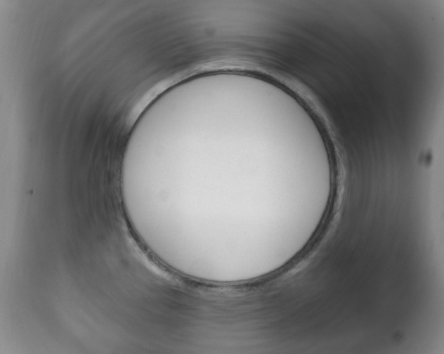X0000111221337200907020951