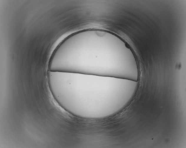 X0000111221339200907020951