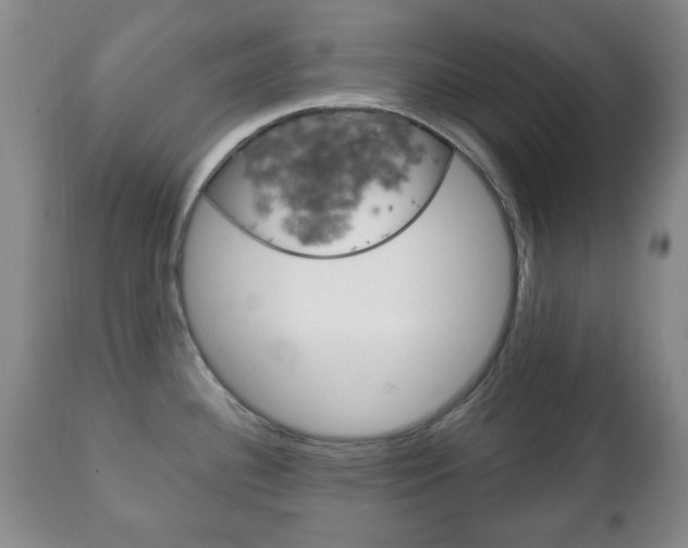X0000111221340200907020951