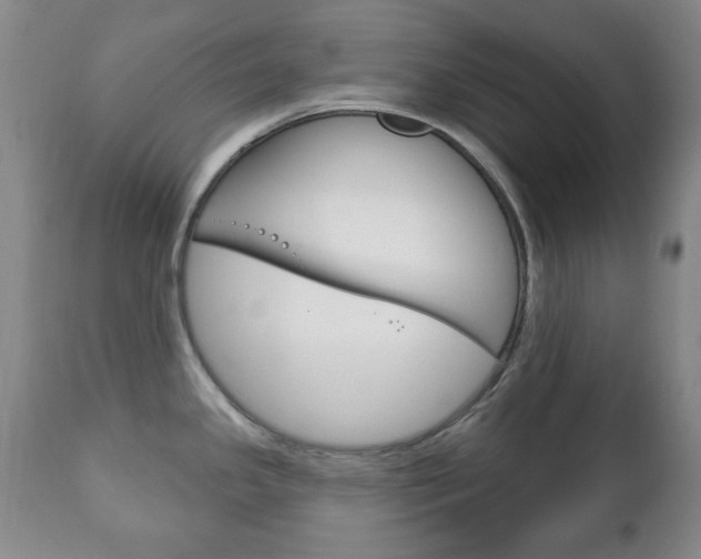 X0000111221341200907020951