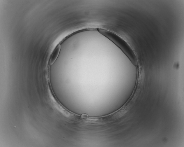X0000111221342200907020951