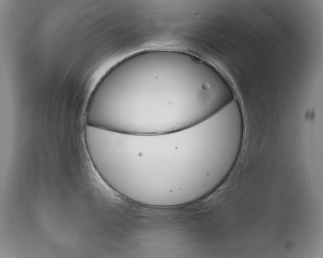 X0000111221344200907020951