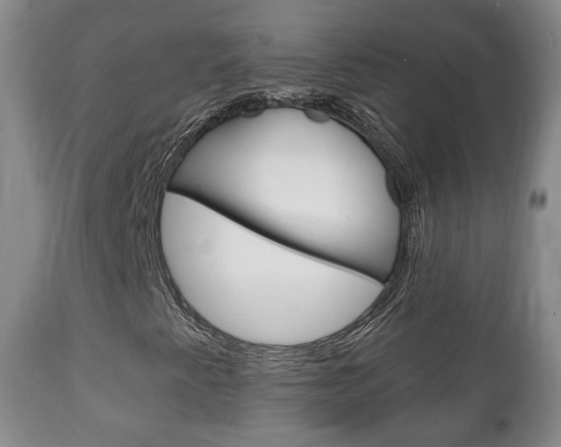 X0000111221345200907020950