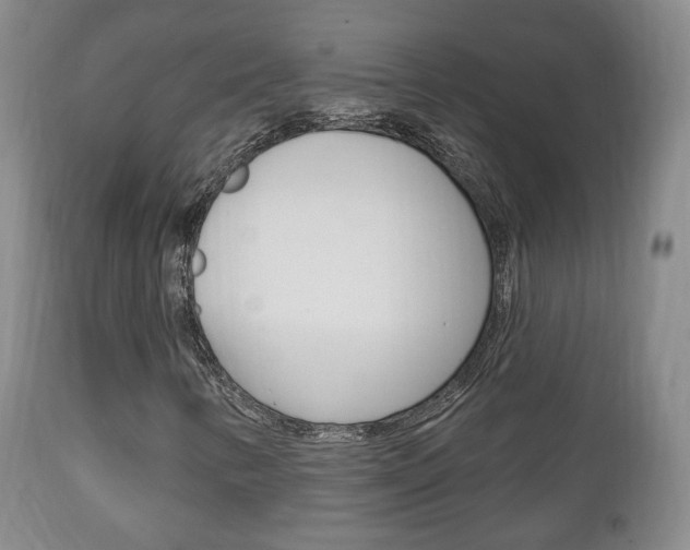 X0000111221346200907020950