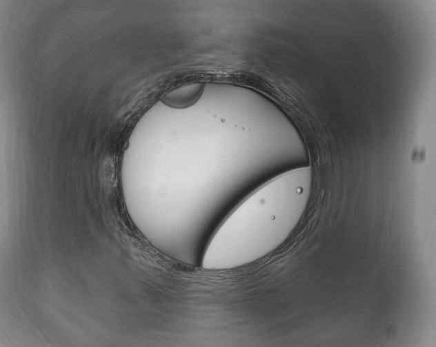 X0000111221347200907020950
