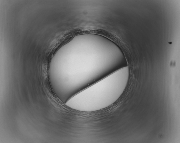 X0000111221348200907020950