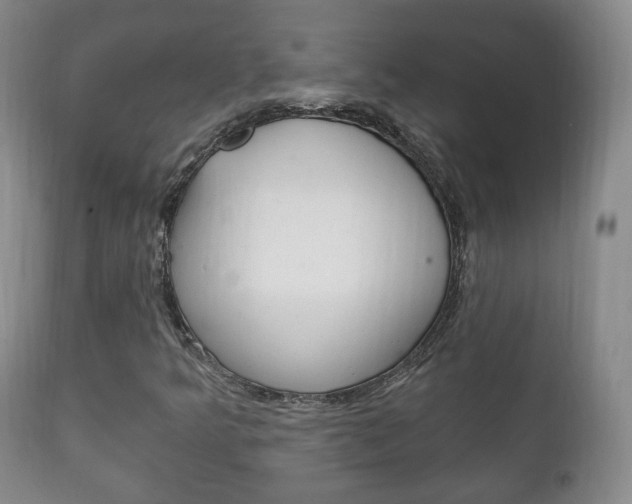 X0000111221349200907020950