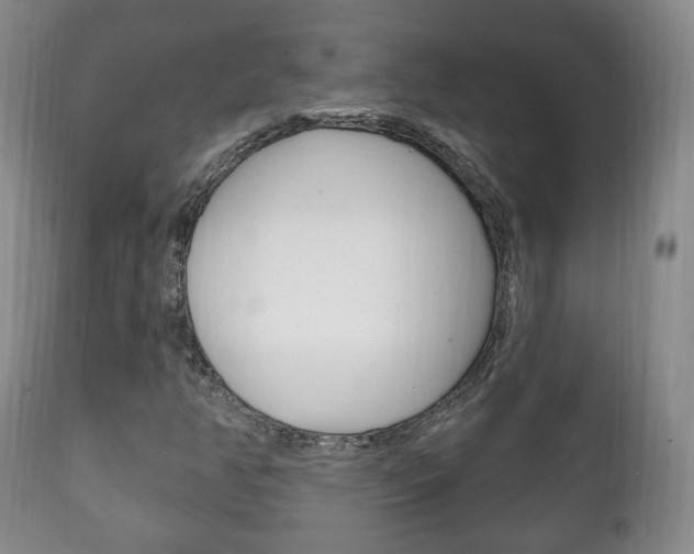 X0000111221350200907020950