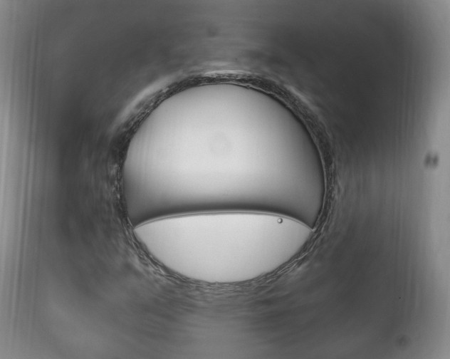 X0000111221351200907020950