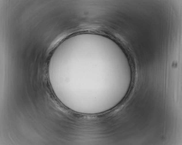 X0000111221354200907020950