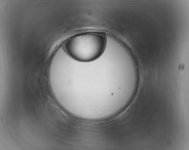 X0000111221357200907020950