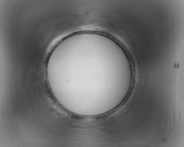 X0000111221358200907020950