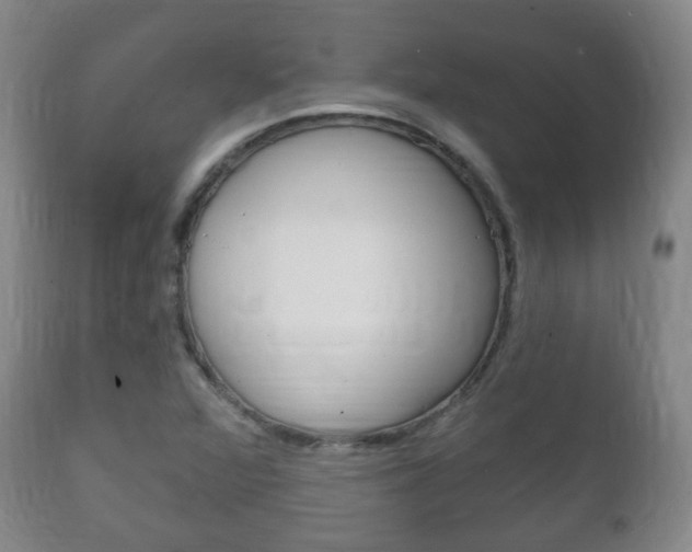 X0000111221360200907020950