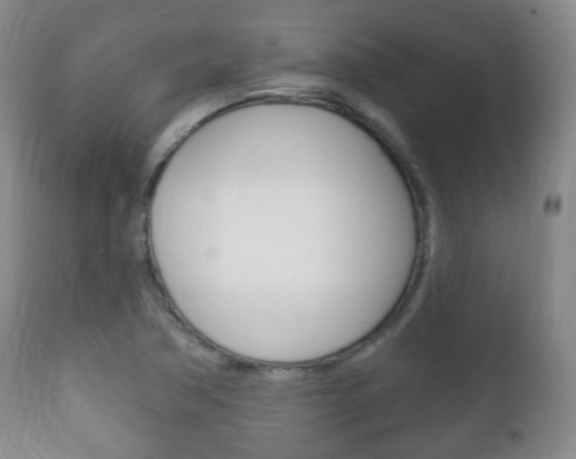 X0000111221362200907020950